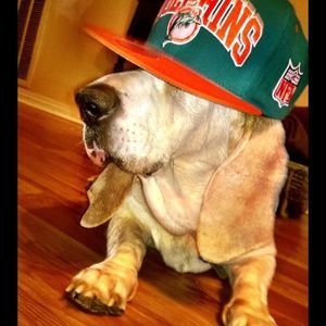 Meet your Posher, Jonathon